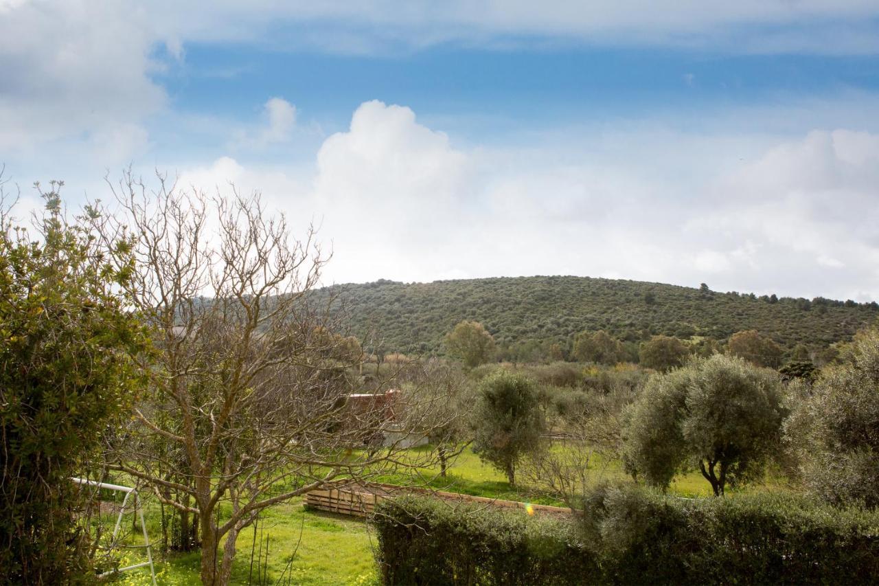 Alghero In Bicicletta Kültér fotó